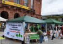 Mainzer Sonnenmarkt: Petition gegen A 643-Ausbau